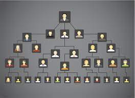 best family tree research