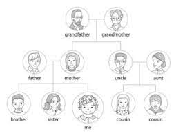 discover family tree