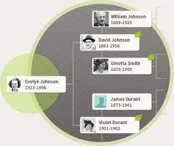 discover your family tree