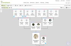 genealogy ancestry family tree search