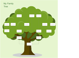 family tree chart drawing