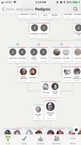 family tree search org