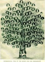 find your family tree