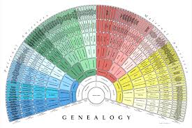 mormon ancestry site