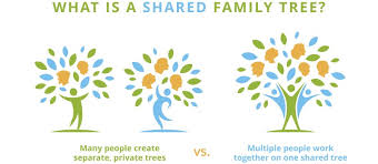 family tree org