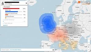 family tree dna test