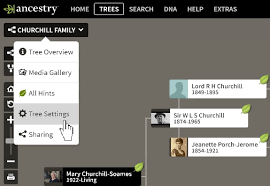 ancestry com family tree search