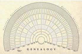 genealogy fan chart