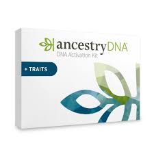 the best ancestry dna test