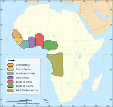 best dna test for african ancestry