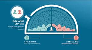 family ancestry dna