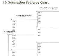15 generation pedigree chart