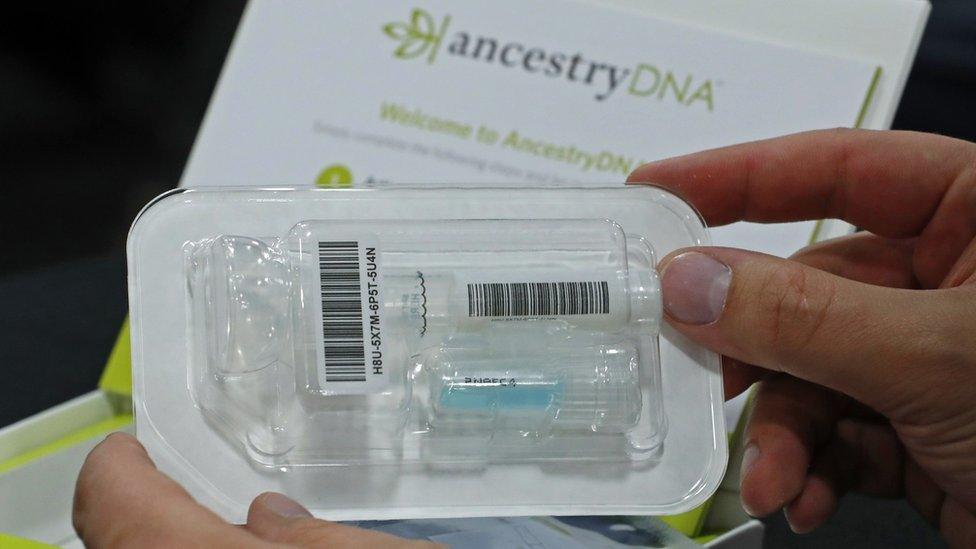 ancestry dna records