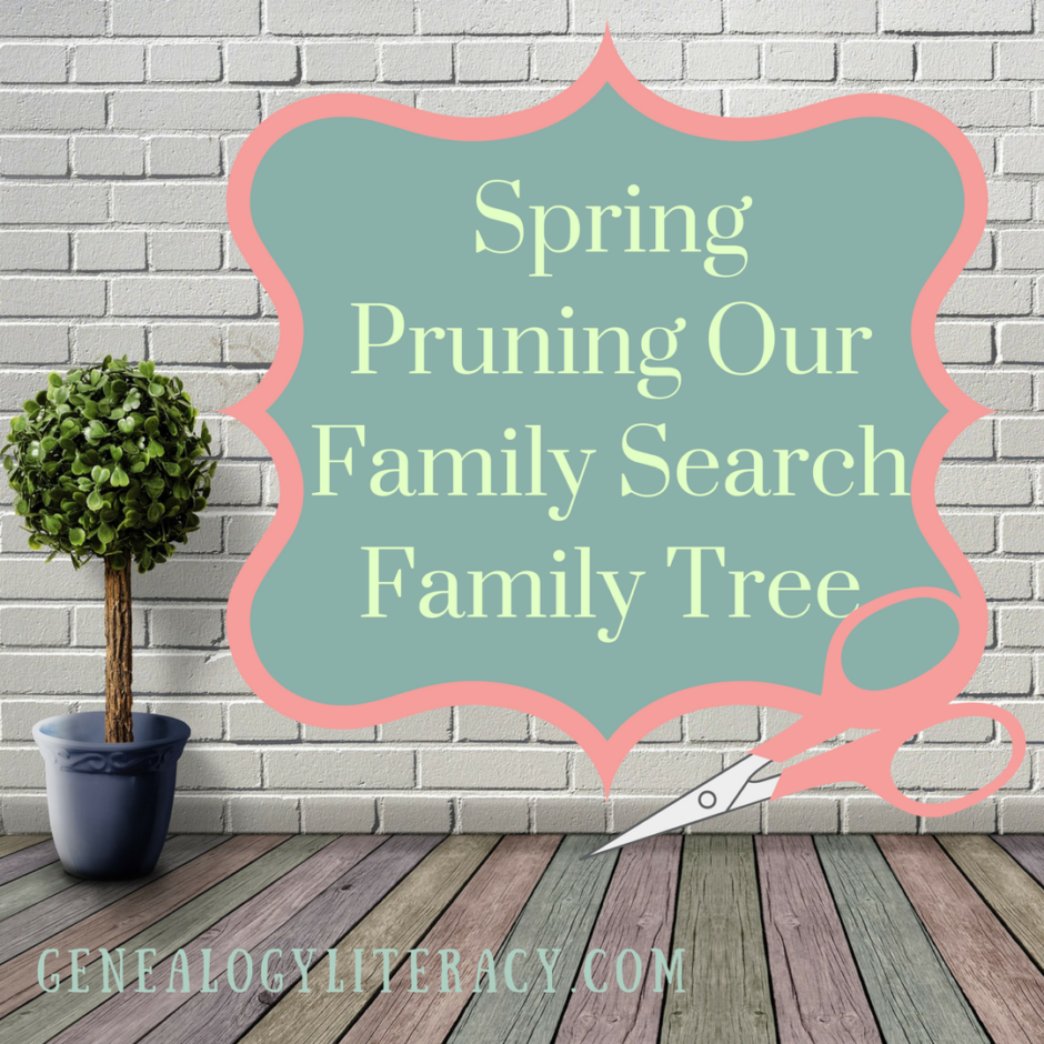 family genealogy search