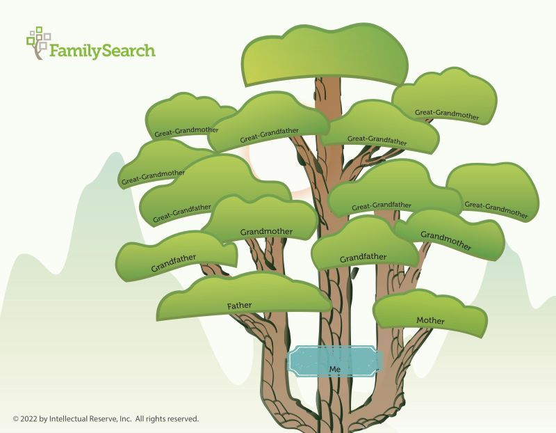 family tree programs free download