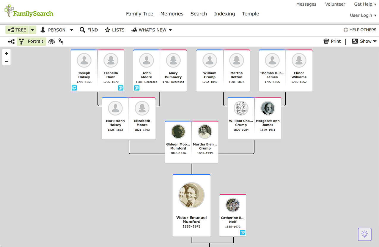 genealogy timeline software