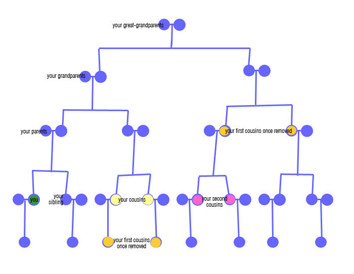 this is your family tree