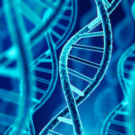 professional dna genealogist