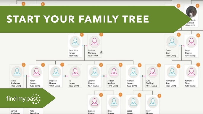 find my family genealogy