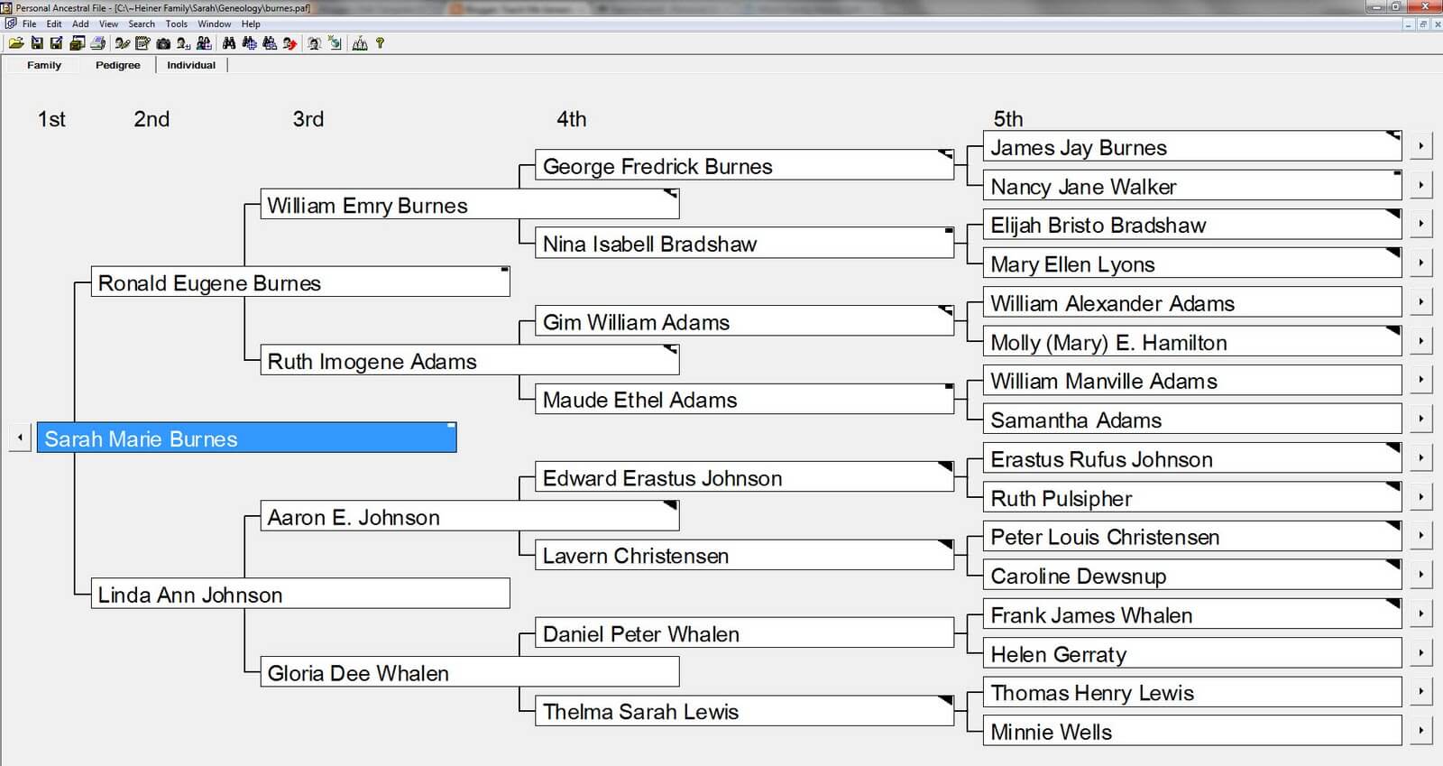 genealogy tree software free