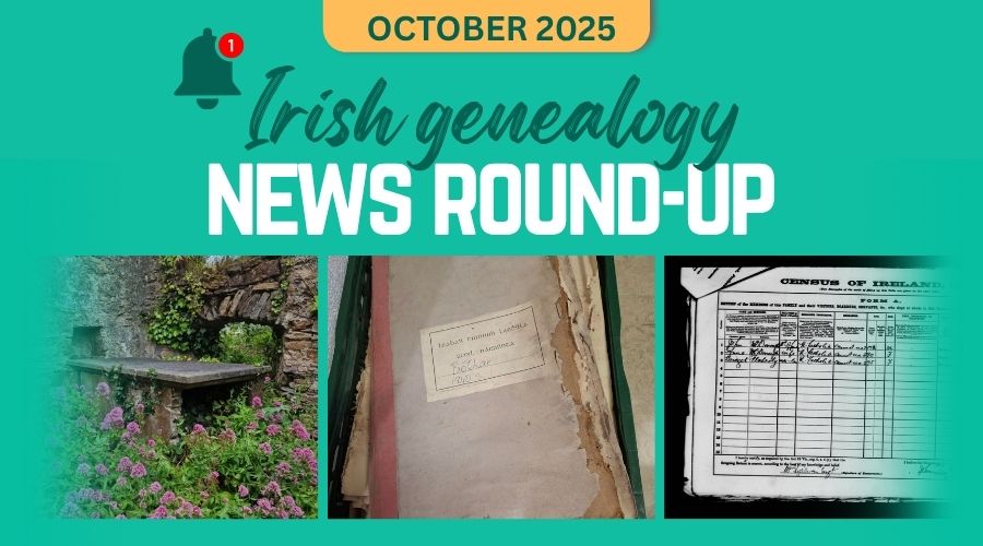 genealogy nationalarchives ie